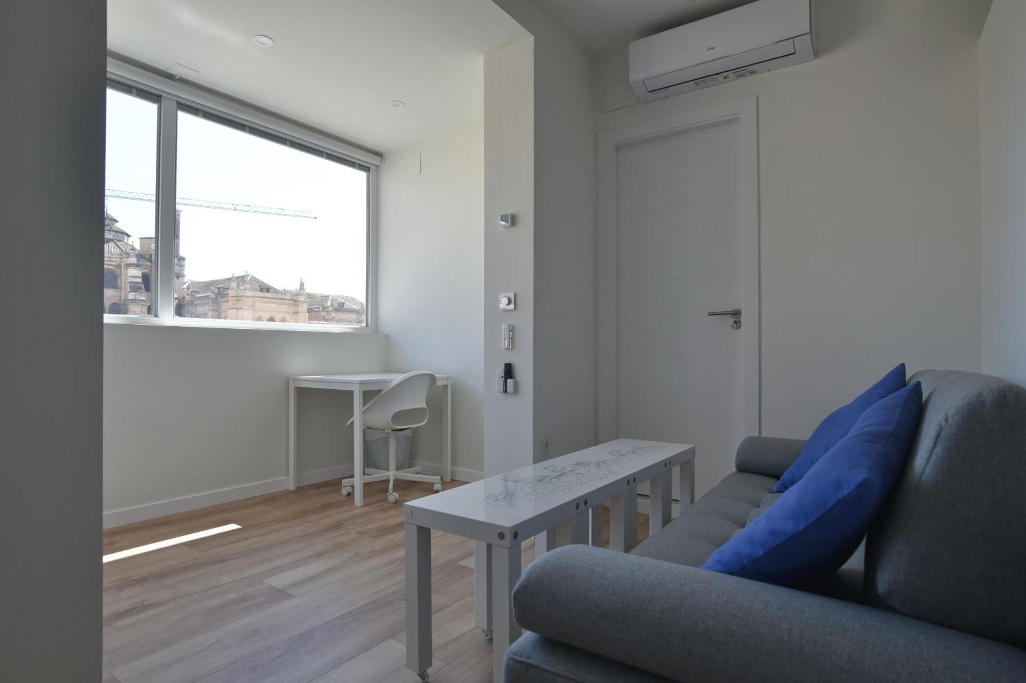 Appartement Atico Panorama Catedral à Grenade Extérieur photo